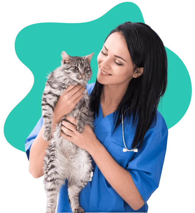 PetYaari veterinary services for dogs and cats in Hyderabad