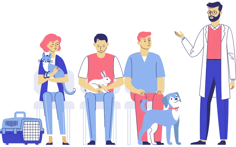 Dog and cat grooming services at PetYaari Hyderabad