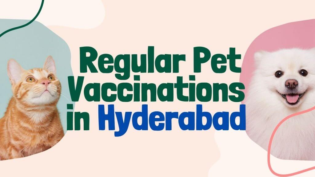 The Importance of Regular Pet Vaccinations in Hyderabad