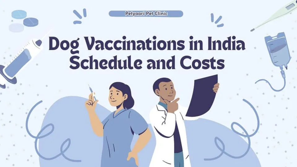 Dog Vaccinations in India: Schedule and Costs vaccination guidance from PetYaari Hyderabad