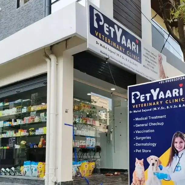 PetYaari Hyderabad veterinary clinic team and pet care services