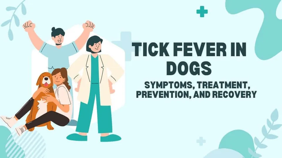 Tick Fever in Dogs: A Comprehensive Guide to Protect Your Canine Companion pet health guide from PetYaari Hyderabad
