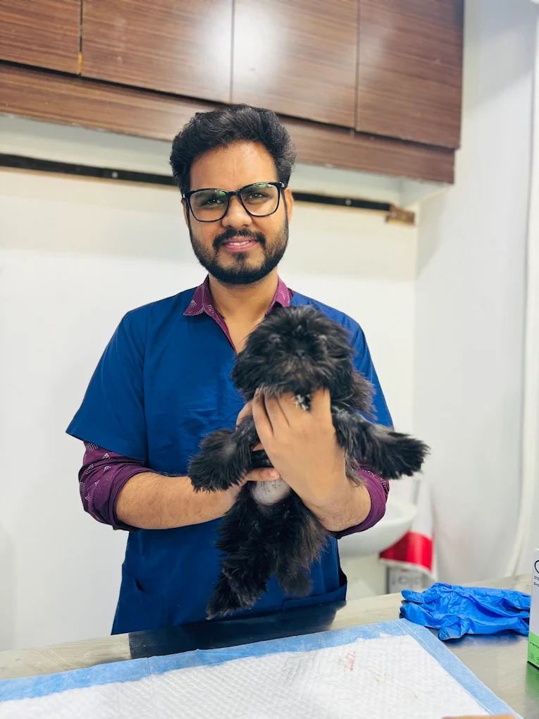 Recovered Shih Tzu from parvovirus, Dr Mohd Sajeed holding pet post recovery