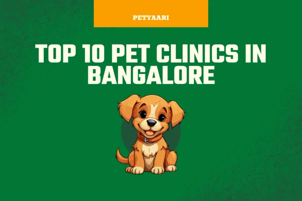 Top 10 Pet Clinics in Bangalore at PetYaari Hyderabad