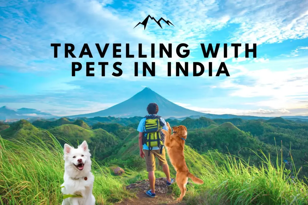 Travelling with Pets in India: Train and Car Journey Safety