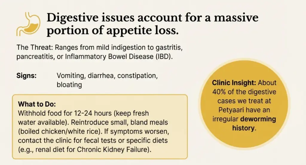 Infographic about digestive issues affecting appetite, listing signs such as vomiting and diarrhea, with a yellow circular element and beige background, associated with PetYaari.