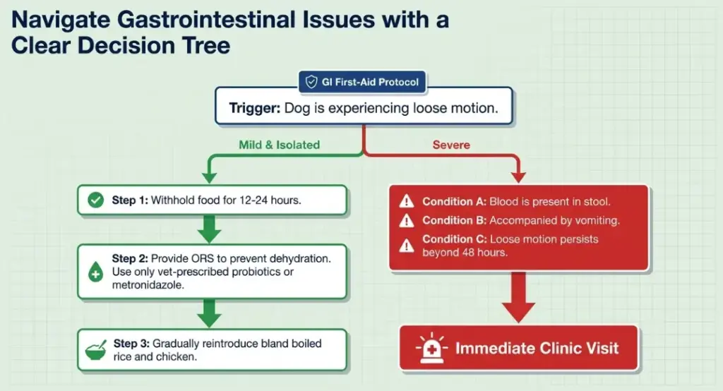 Dr Mohd Sajeed and PetYaari GI First-Aid Protocol flowchart diagram featuring a green-to-red pathway, highlighting steps and conditions for gastrointenstinal issue triage in a veterinary care context near Hyderabad