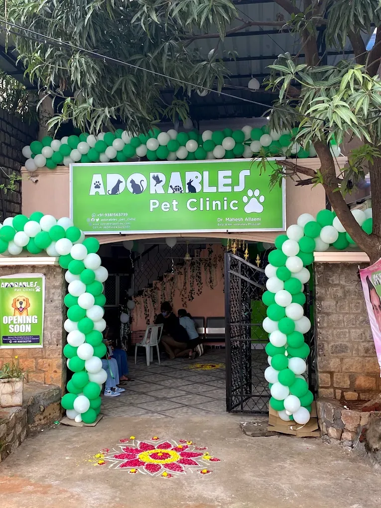 Adorables Pet Clinic