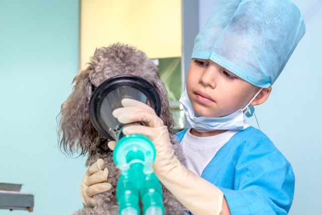 Pet Respiratory at Petyaari Veterinary Clinic