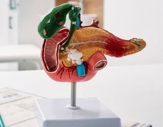 Canine Pancreatic Lipase (cPL)