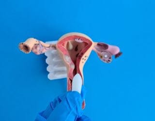 Culture Vaginal Swab and Sensitivity