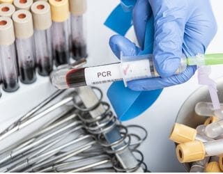 Feline Disease Panel, PCR