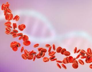 Hemogram (CBC + ESR)