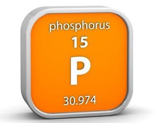 Phosphorus, Serum