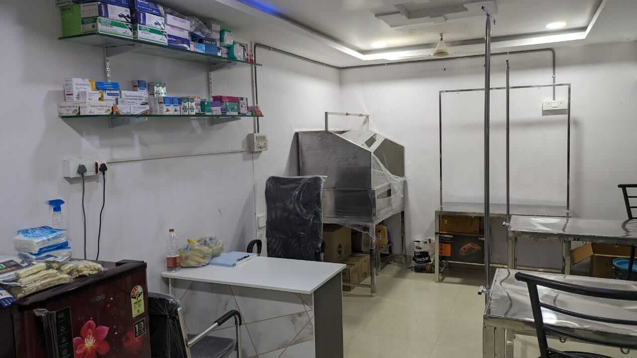 Petyaari Kharmanghat pet Grooming