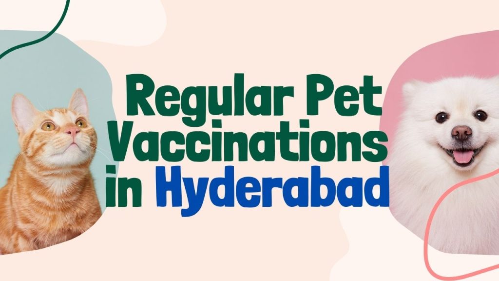 Regular Pet Vaccinations in Hyderabad