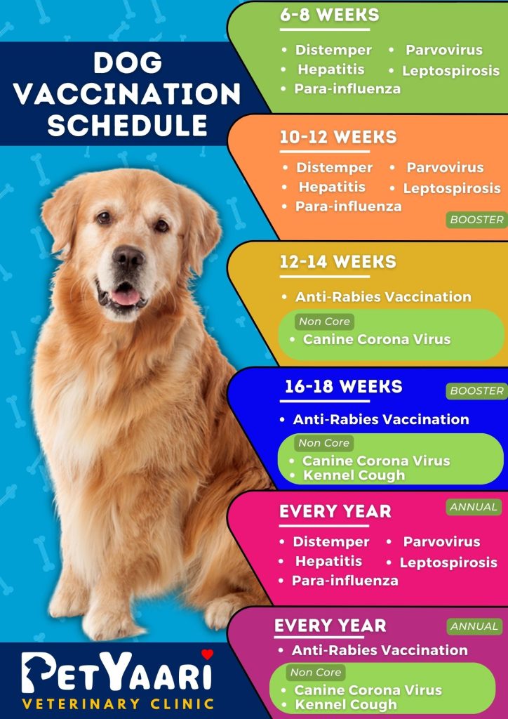 Dog Vaccination Schedule