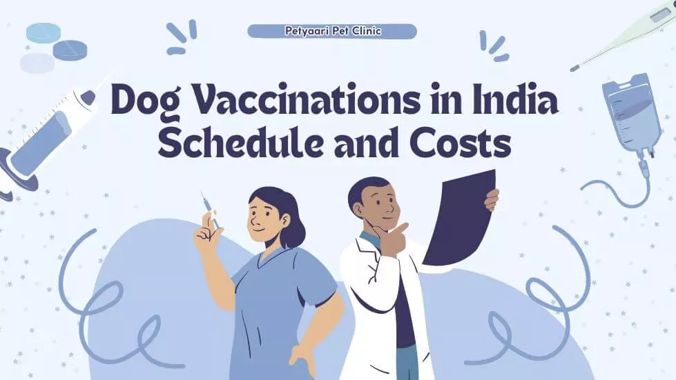 Dog Vaccinations in India Schedule and Costs