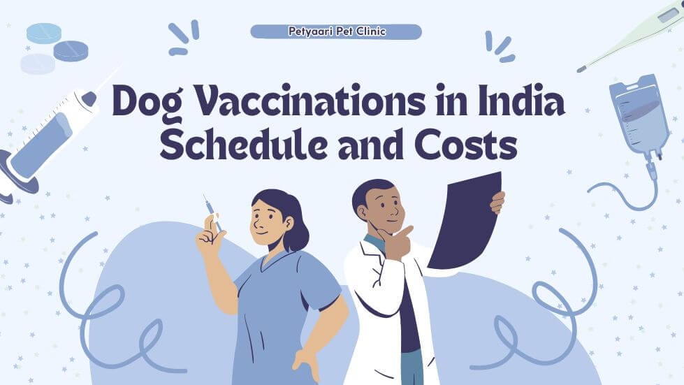 Dog Vaccinations in India Schedule and Costs