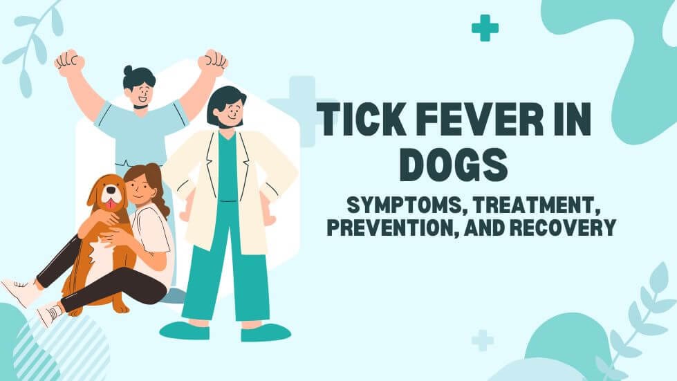 Tick Fever in Dogs
