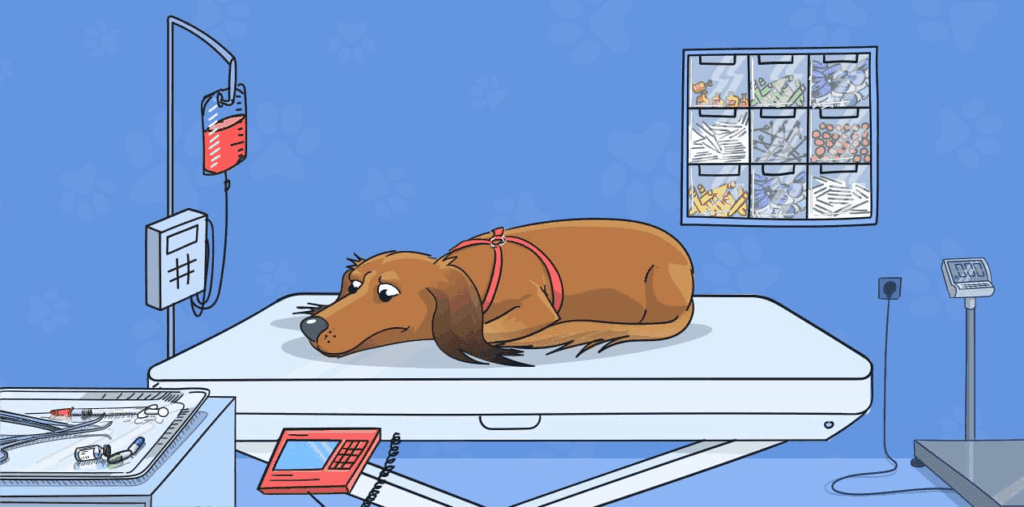 Blood Transfusion in dogs cartoon