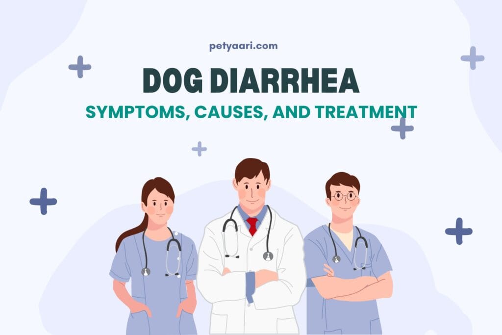 Diarrhea in dogs