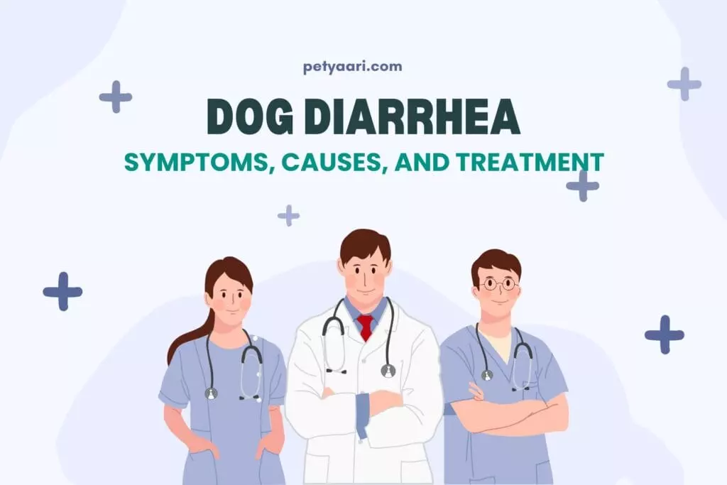 Diarrhea in dogs
