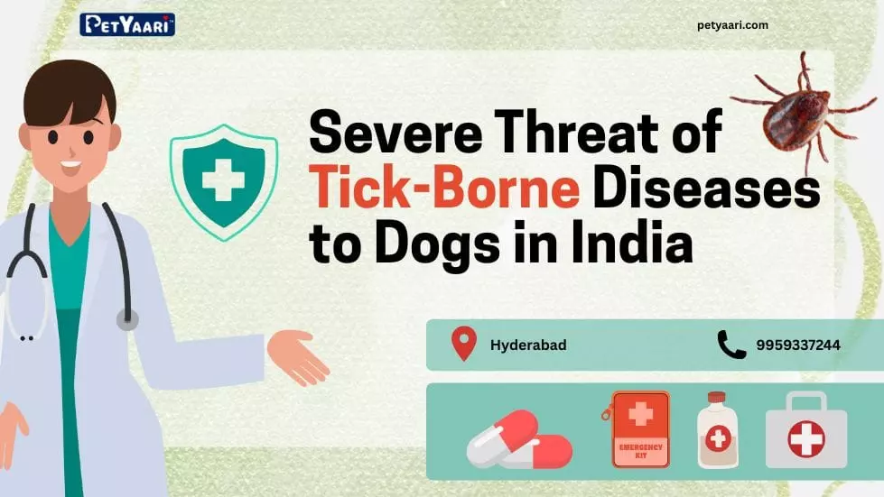 Severe Threat of Tick-Borne Diseases to Dogs in India