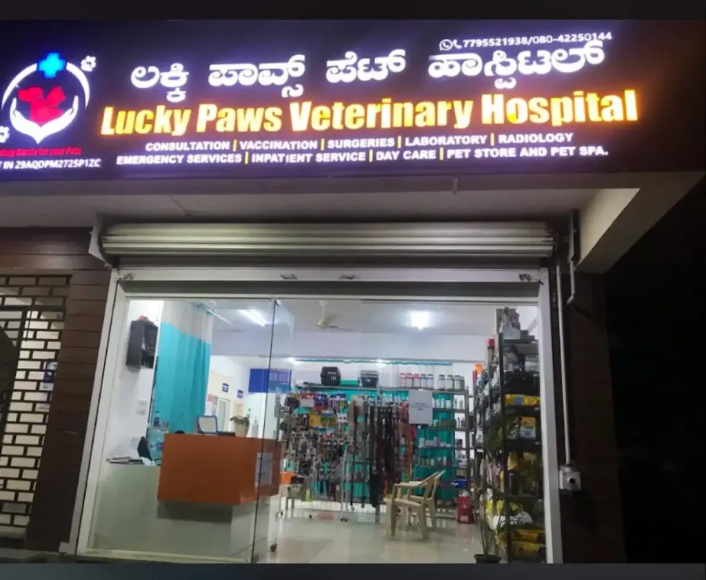 Top 10 Pet Clinics in Bangalore 7. Lucky Paws Veterinary Hospital