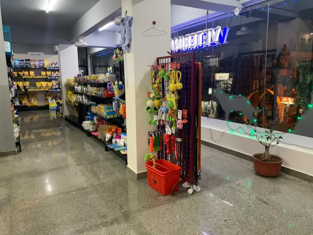 Top 10 Pet Clinics in Bangalore Renee vet hospital