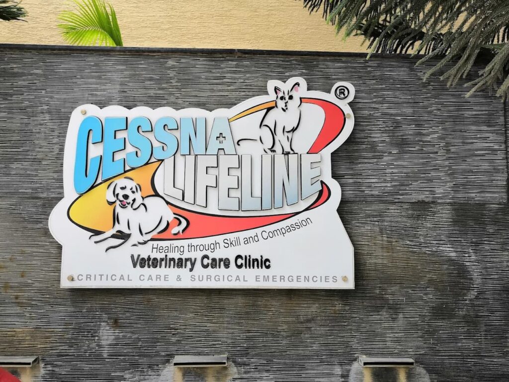 Top 10 Pet Clinics in Bangalore cessna lifeline Pet Clinic