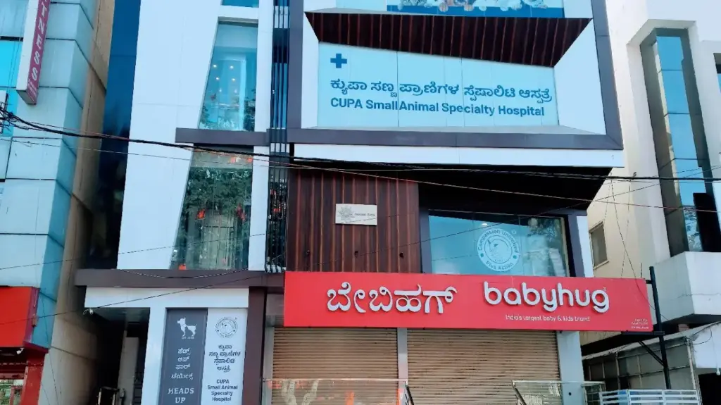 Top 10 Pet Clinics in Bangalore cupa small animal specialty hospital