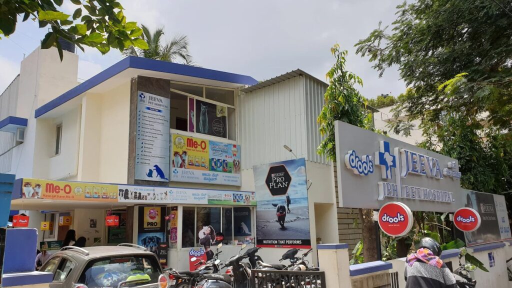Top 10 Pet Clinics in Bangalore Jeeva Pet Hospital