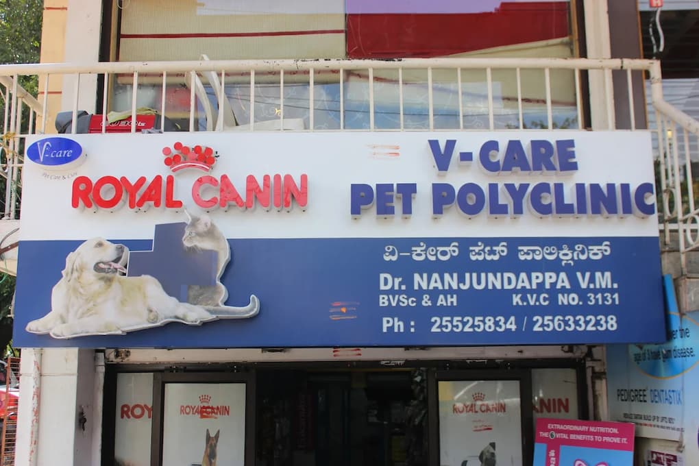 Top 10 Pet Clinics in Bangalore vcare bangalore