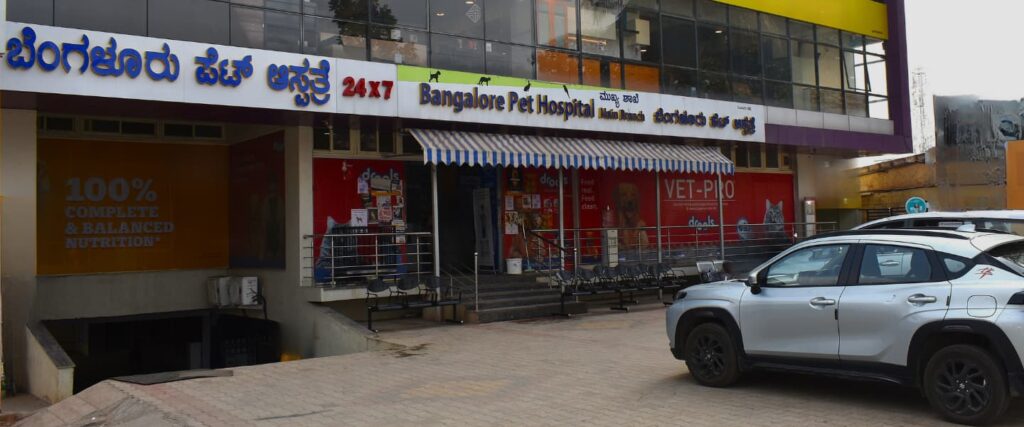 Bangalore Pet Hospital