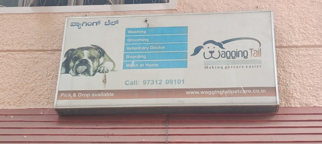 wagging tail bangalore