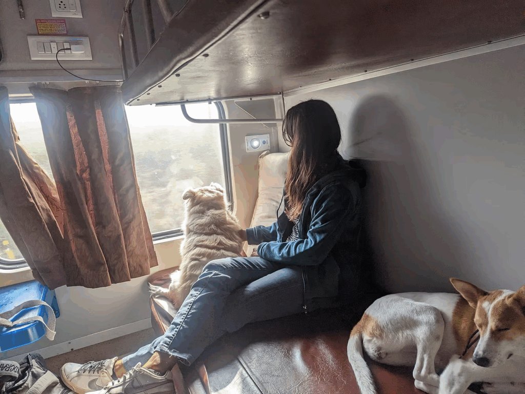 A person travelling with two dogs in a pet-friendly train compartment in India, illustrating safe and comfortable pet travel