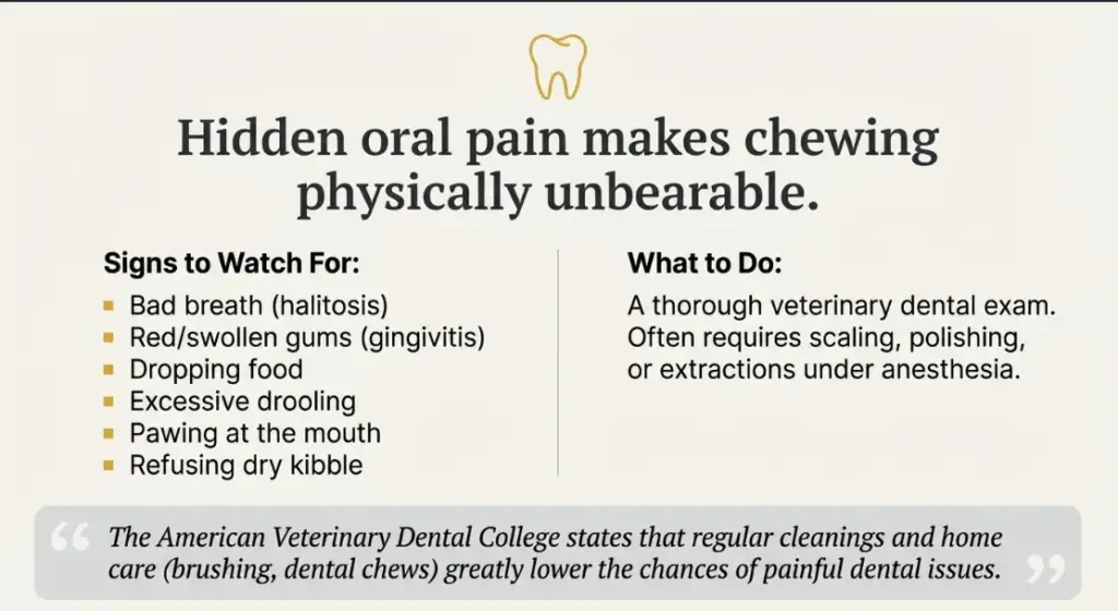 Beige infographic about hidden pet dental pain, listing signs to watch for and actions to take, featuring a tooth icon at the top and a two-column layout.