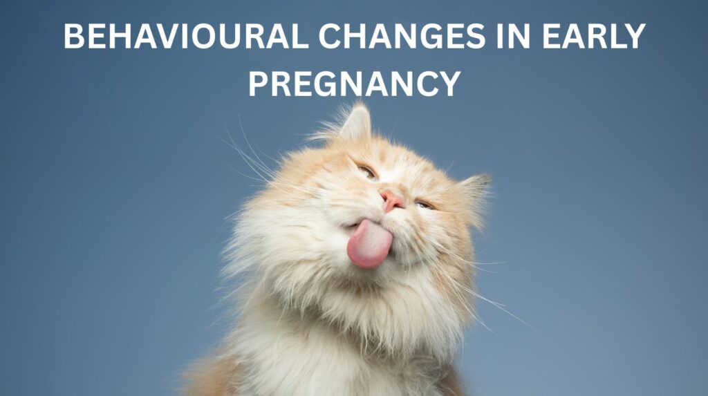 Behavioural Changes in Early Pregnancy